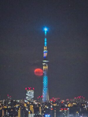 立待月パール東京スカイツリー~赤い立待月とスカイツリー | 絶景事典
