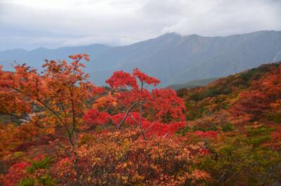 那須岳　紅葉 | 絶景事典