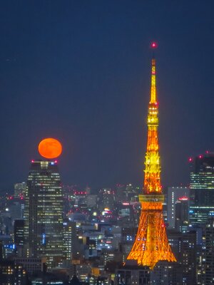 オレンジの共演 | 絶景事典