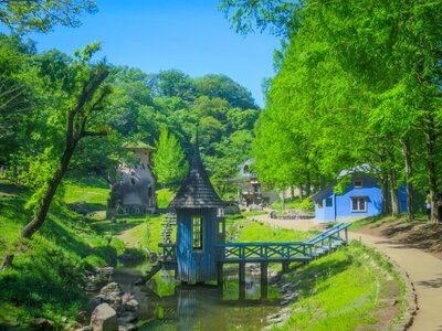 新緑と青い建物ときのこの家 | 絶景事典