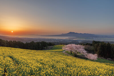 高原の夜明け | 絶景事典