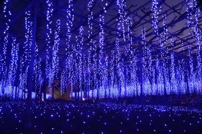 光の宴 | 絶景事典
