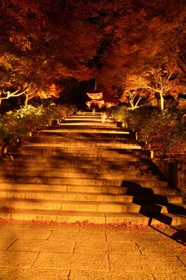 勝尾寺　秋の参道（夜） | 絶景事典